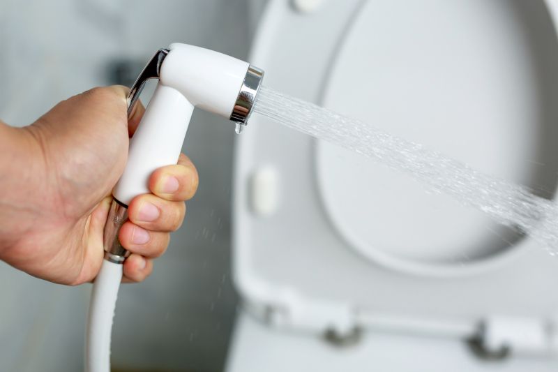 Bidet Repair Service in Denver, CO