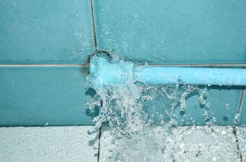 Pipe Leak Repair in Denver, CO