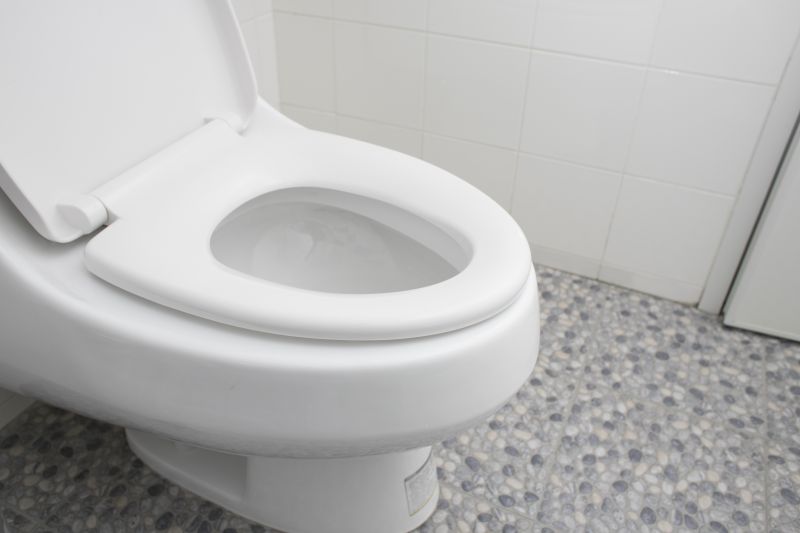 New Toilet Installation in Denver, CO