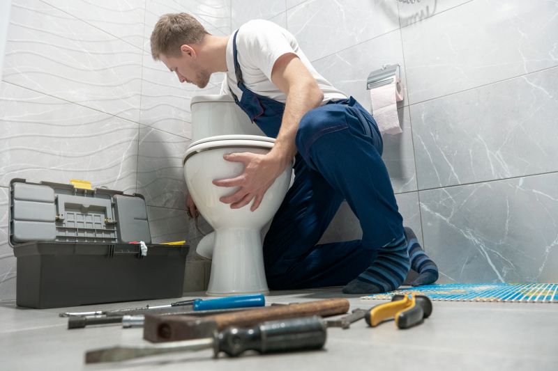 Toilet Parts Replacement in Denver, CO