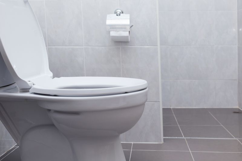 Toilet Parts Replacement in Denver, CO