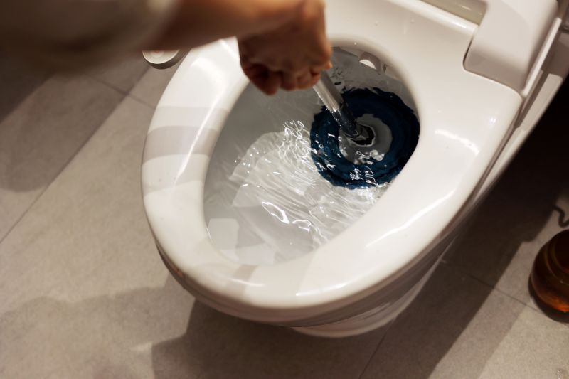 Toilet Plunging in Denver, CO