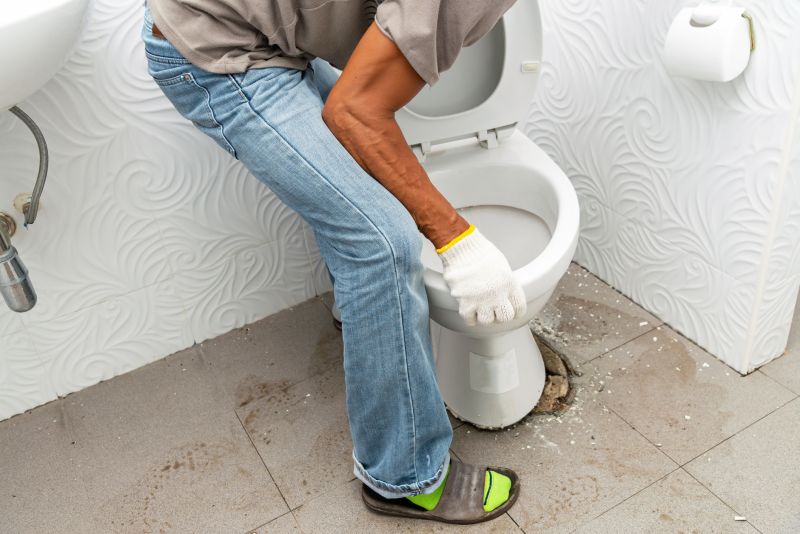 Toilet Service in Denver, CO