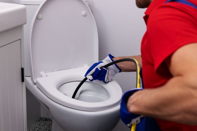 Toilet Snaking in Denver, CO